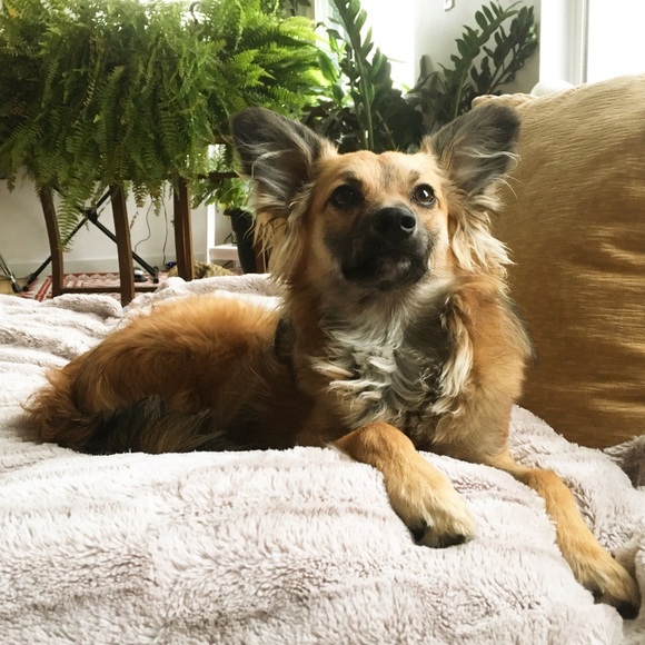 Meet your Posher, Amanda - Picture 1 of 1